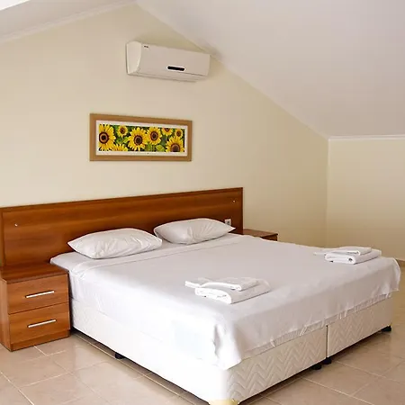 Orka Park Z5 *